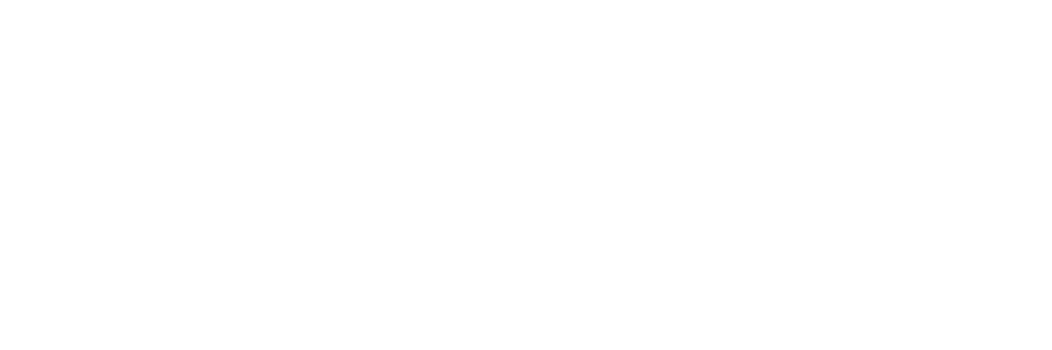 Excelsius Publisher